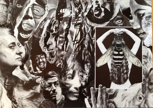 Art-Errorist and Zsolt Sörés - The Wasp Boutique