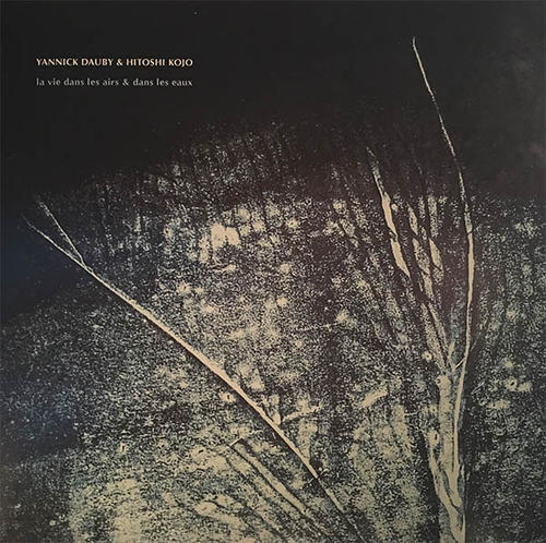 Hitoshi Kojo and Yannick Dauby - La Vie Dans Les Airs Et Dans Les Eaux