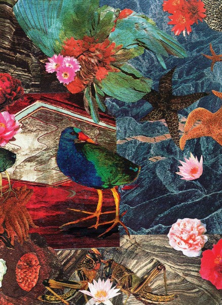Merzbow ‎– Takahe Collage