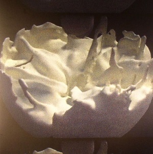 Rose Kallal and Mark O Pilkington - Implicate Explicate