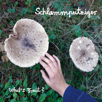Schlammpeitziger - What's Fruit