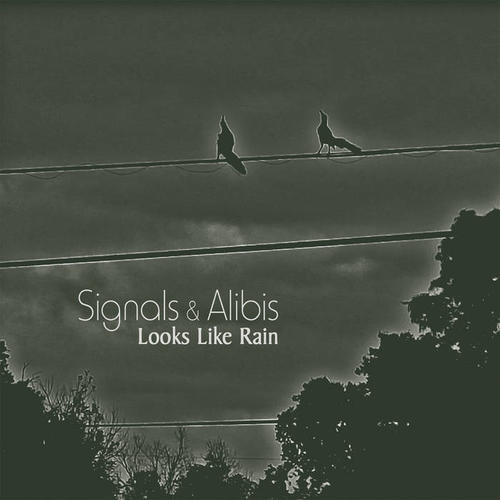 Signals & Alibis - Looks Like Rain