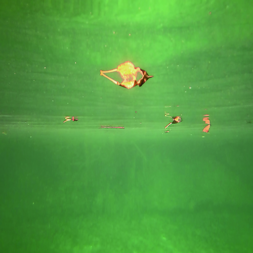 Simon Whetham - Drowning Electret