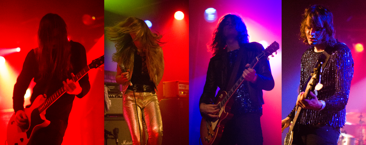 Spiders live November 2015
