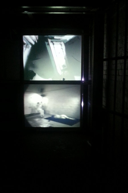 The Island projections