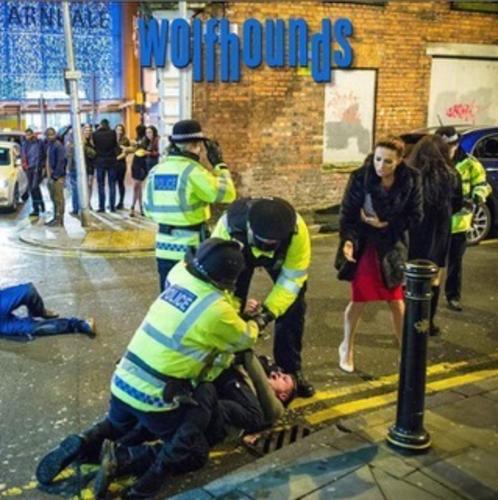 The Wolfhounds - Untied Kingdom