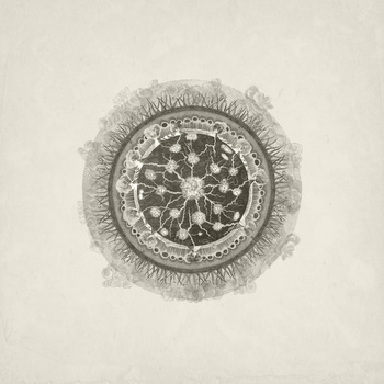 Un Festín Sagital – Kosmodynamos