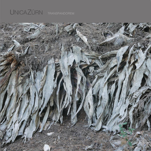 UnicaZürn - Transpandorem